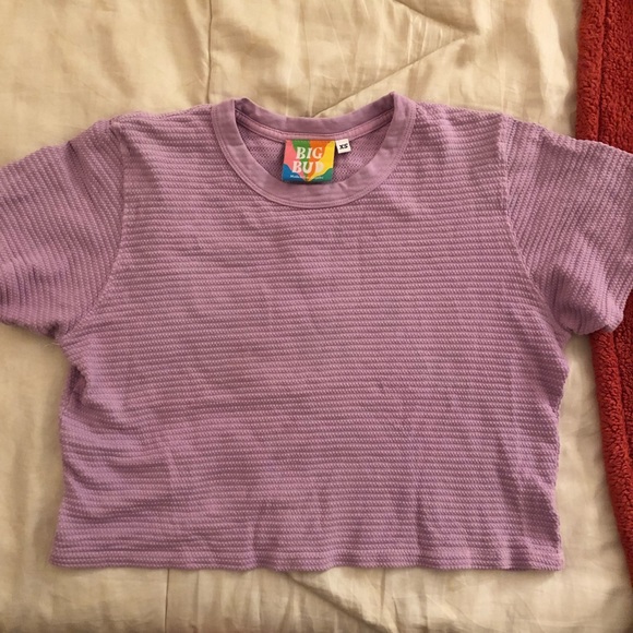 Big Bud Press Honeycomb Cropped Tee Lilac XS - Picture 4 of 5